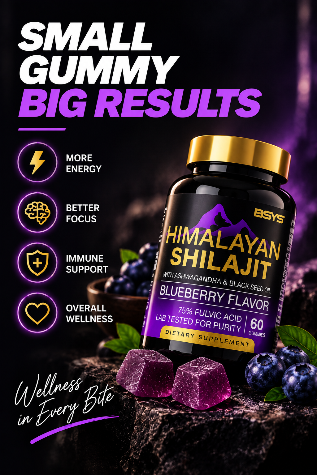 BSYS SHILAJIT GUMMIES 60'S