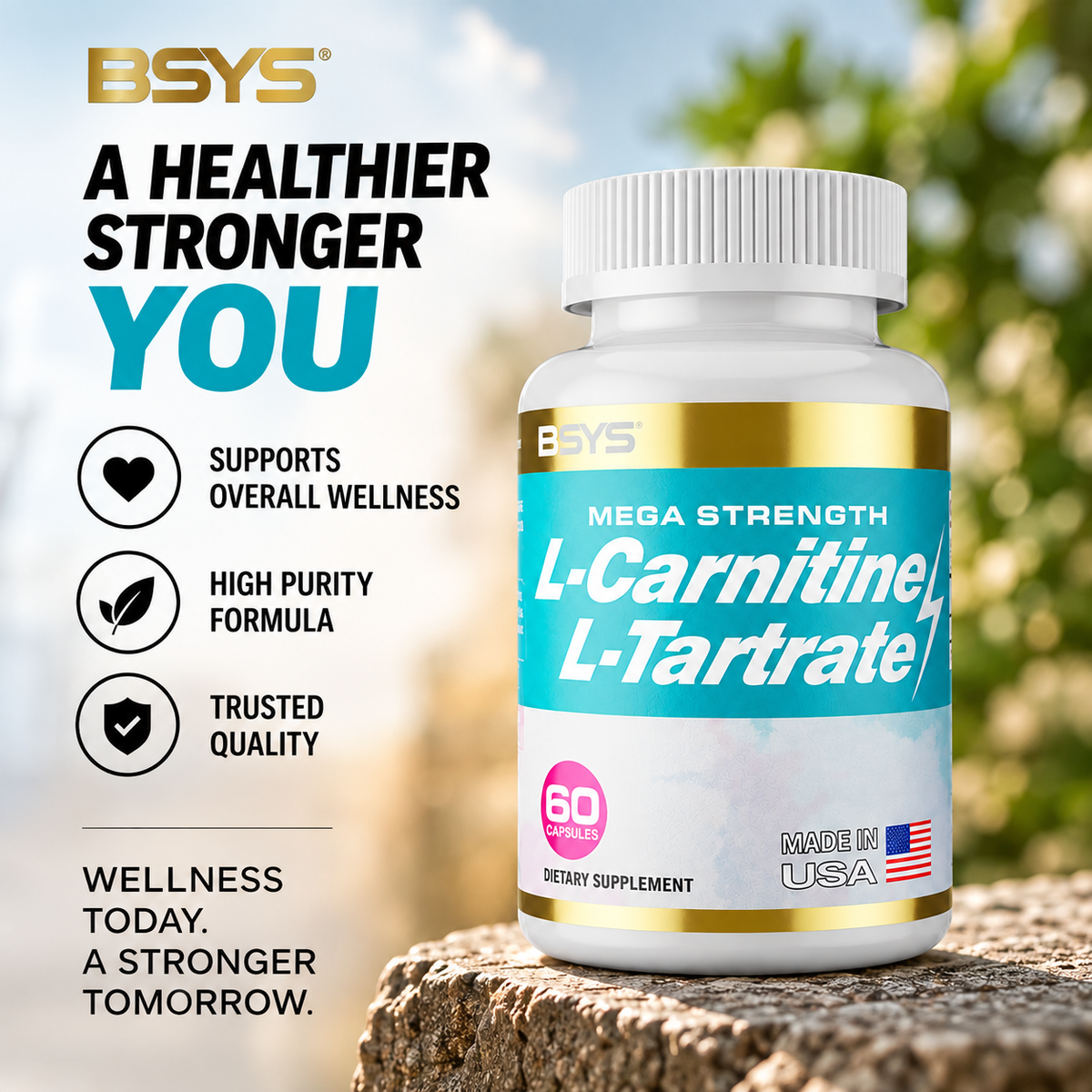 L-Carnitine L-Tartrate 500 mg — 60 Capsules